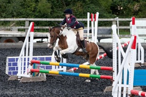 Class 4 - Fences 2'3 to 2'6